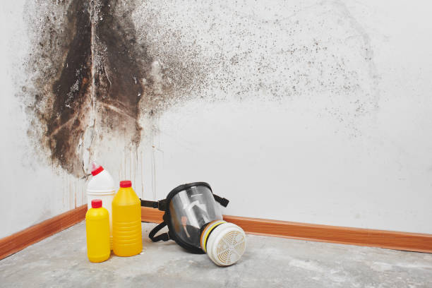 Water Damage Restoration in Cape Canaveral, FL