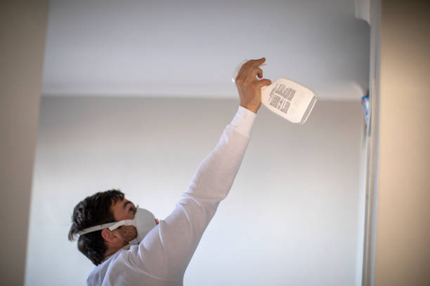 Office Mold Removal Services in Cape Canaveral, FL