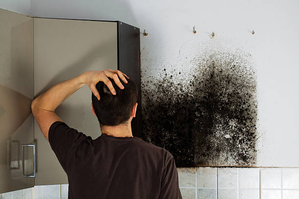 Best Office Mold Removal Services  in Cape Canaveral, FL